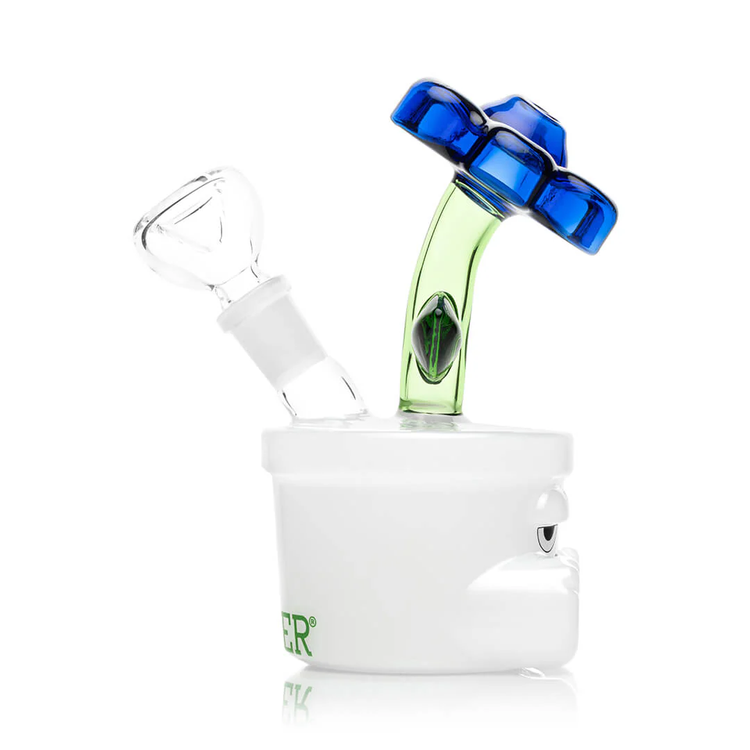 Bloom Bong - Image 4