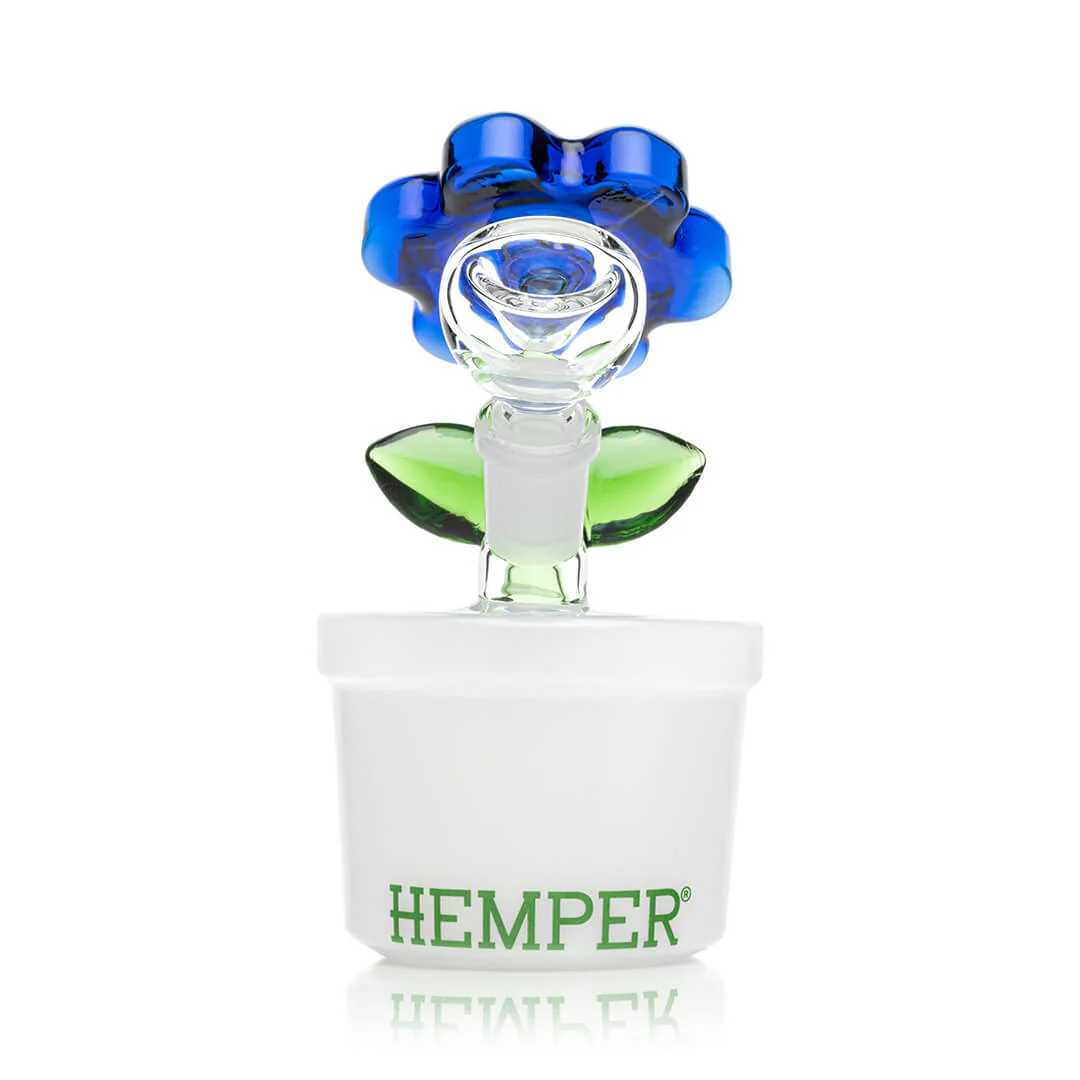 Bloom Bong - Image 5