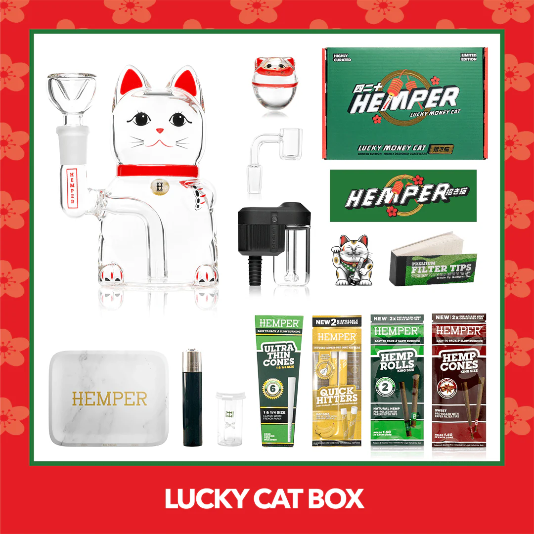 Lucky Cat Box