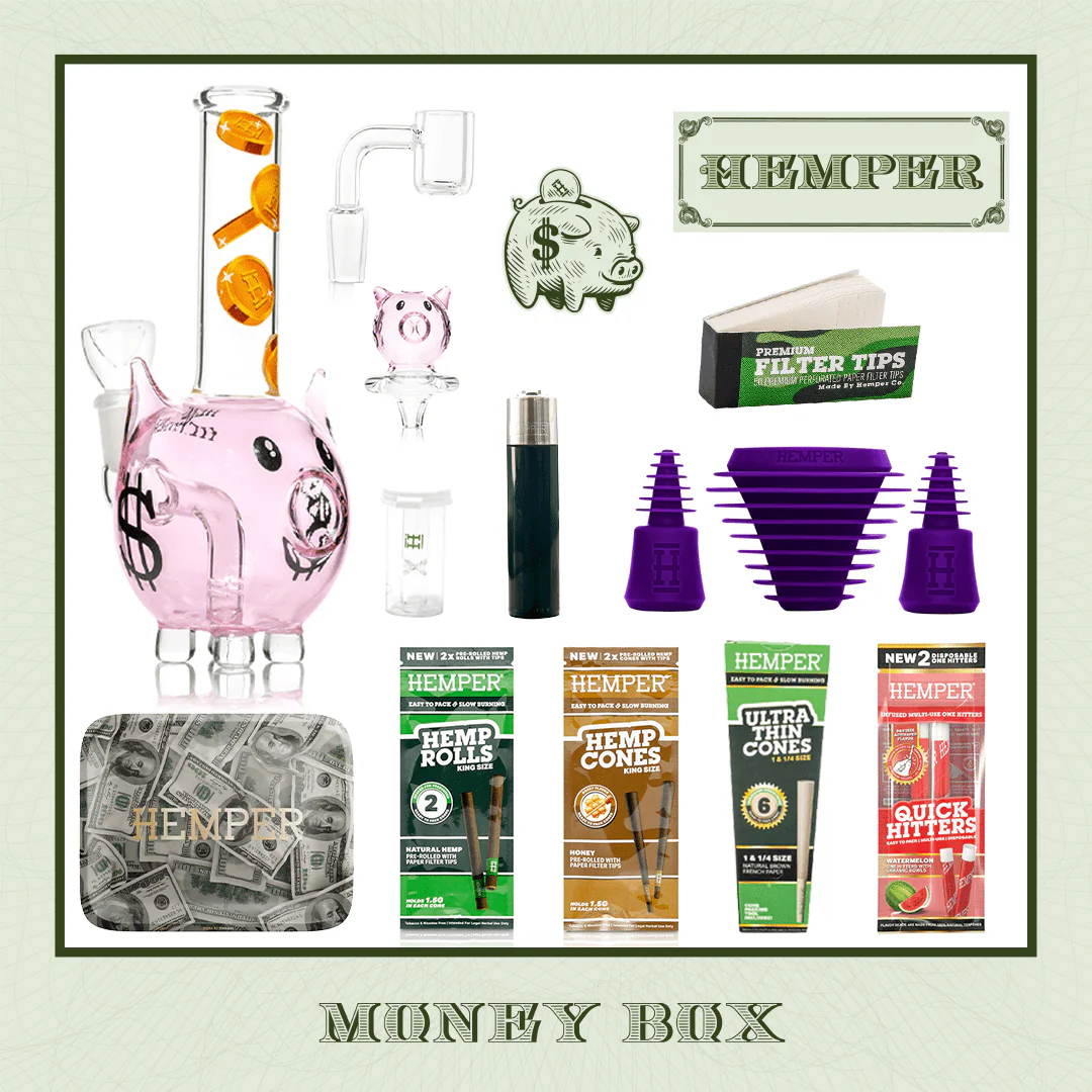 Money Piggy Bank Bong Box