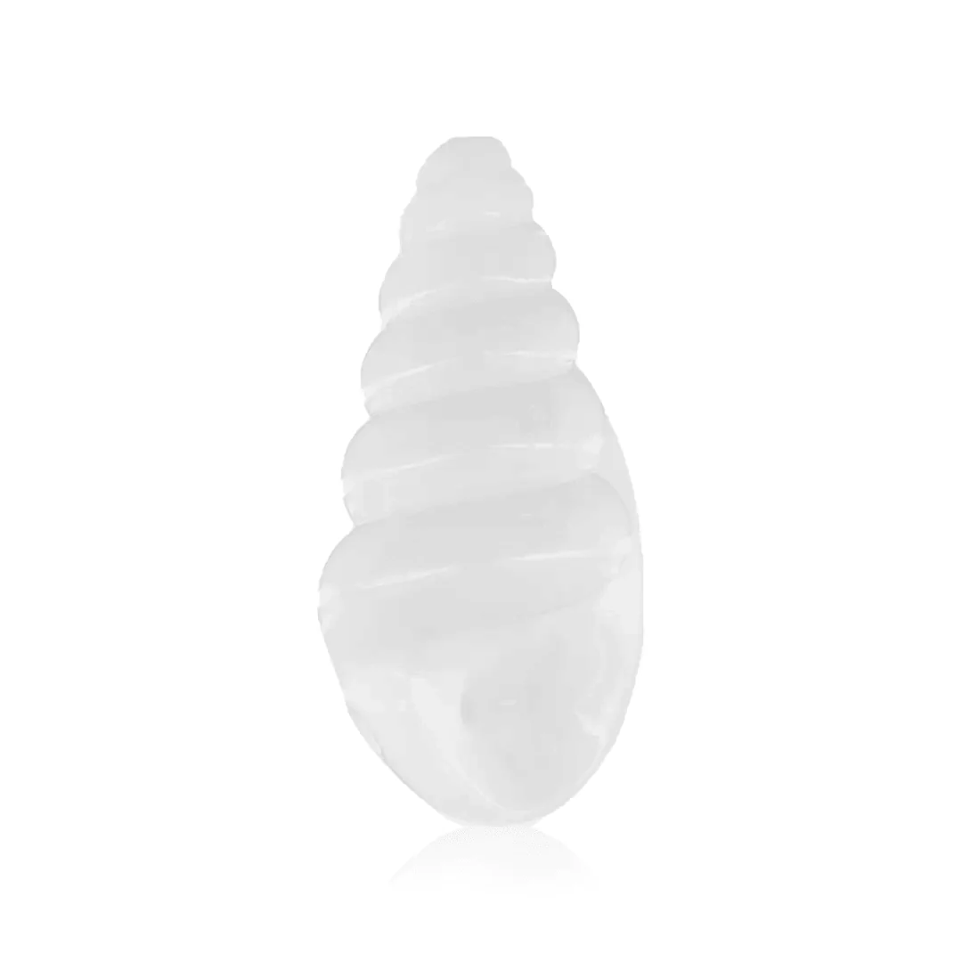 Seashell Hand Pipe