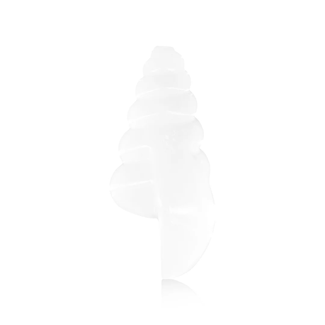 Seashell Hand Pipe - Image 4