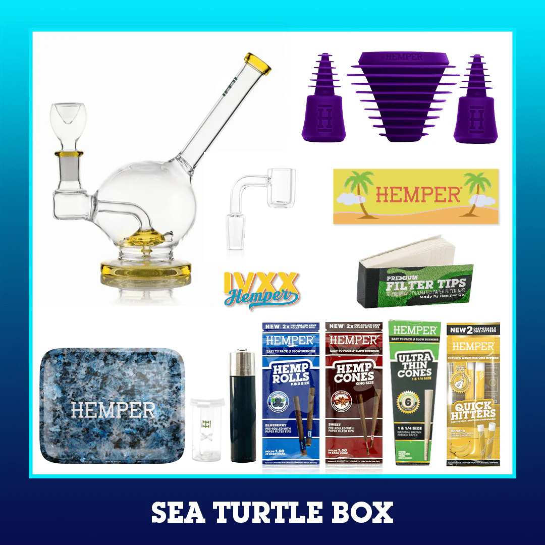 Sea Turtle Bong Box - Image 3