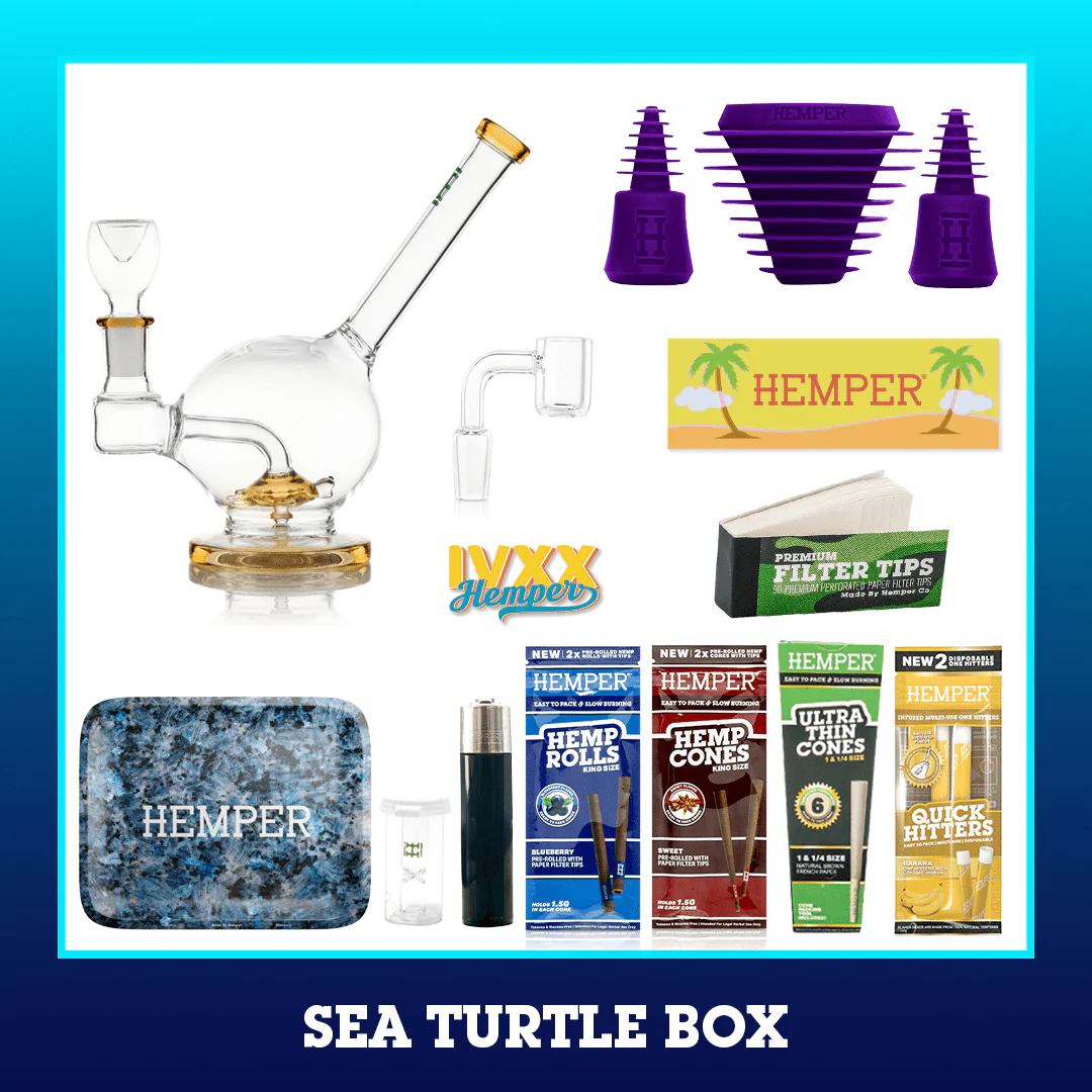 Sea Turtle Bong Box - Image 4