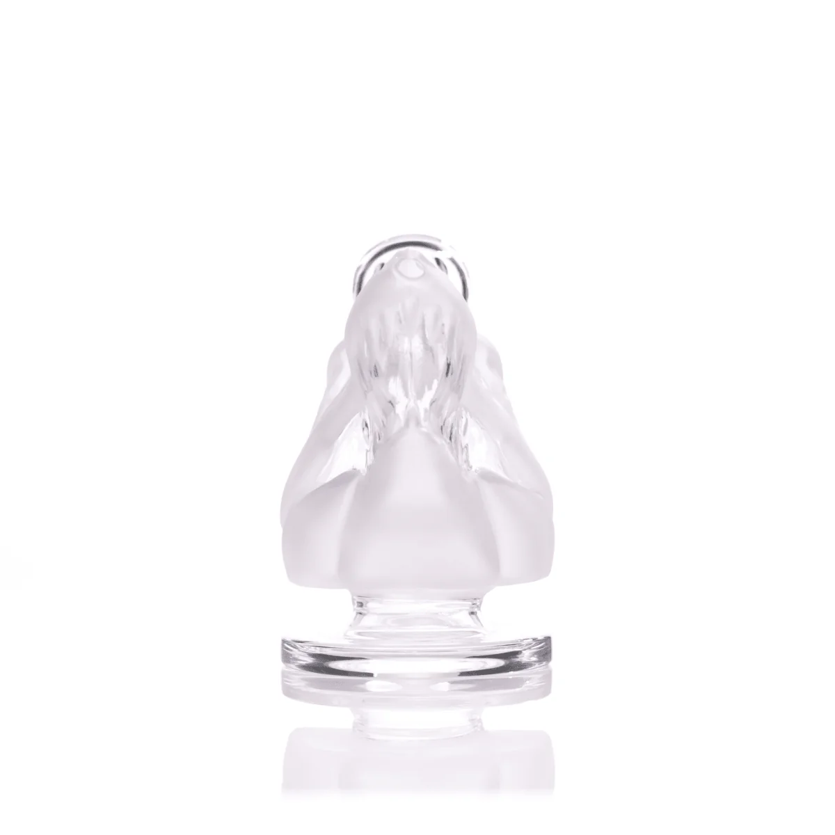 Jurassic Spark Dinosaur Skull Bong - Image 8