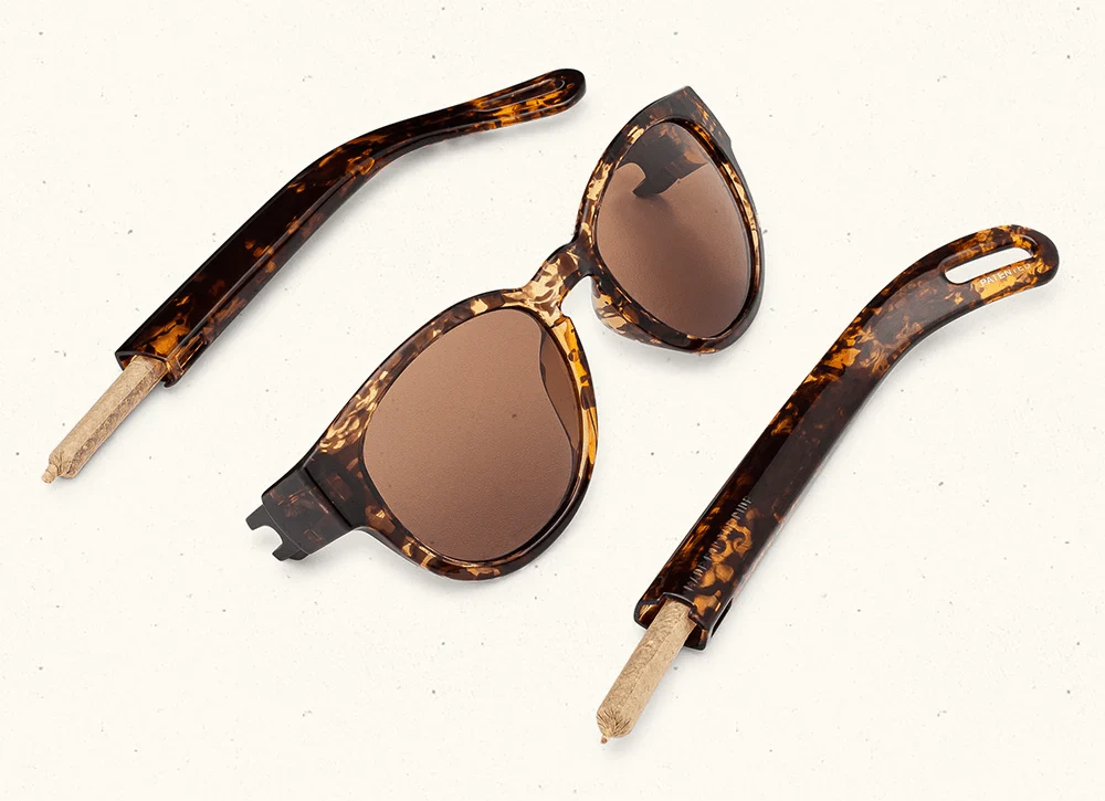 Vicerays - Storage Sunglasses - Image 18